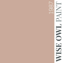 Load image into Gallery viewer, Wise Owl Paint in colour 1987