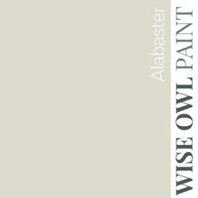Load image into Gallery viewer, Wise Owl Paint in colour Alabaster