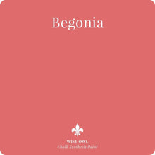 Load image into Gallery viewer, Wise Owl Paint in colour Begonia