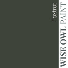 Load image into Gallery viewer, Wise Owl Paint in colour Foxtrot