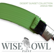 Load image into Gallery viewer, Wise Owl Chalk Paint Brushstroke in colour Joshua Tree