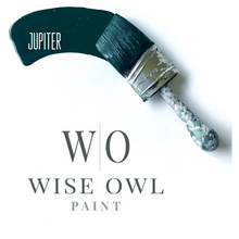 Load image into Gallery viewer, Wise Owl Swoosh in colour Jupiter