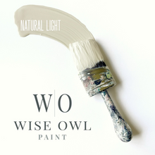 Load image into Gallery viewer, Wise Owl Paint Swoosh in colour Natural Light