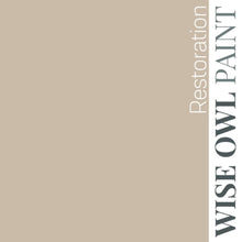 Load image into Gallery viewer, Wise Owl Paint in colour Restoration