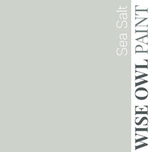 Load image into Gallery viewer, Wise Owl Paint in colour Sea Salt