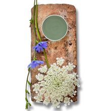 Load image into Gallery viewer, Wise Owl Paint on Brick with Flower in colour Shade Green