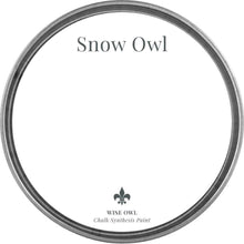 Load image into Gallery viewer, Wise Owl Chalk Paint Lid in colour Snow Owl