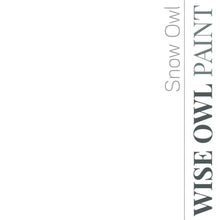 Load image into Gallery viewer, Wise Owl Paint in colour Snow Owl