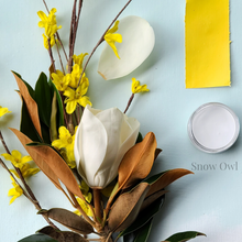 Load image into Gallery viewer, Wise Owl Paint in Snow Owl with Flowers