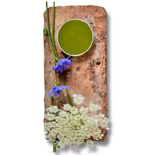 Load image into Gallery viewer, Wise Owl Paint on Brick with Flower in colour Spanish Olive