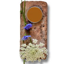 Load image into Gallery viewer, Wise Owl Paint on Brick with Flower in colour Tango