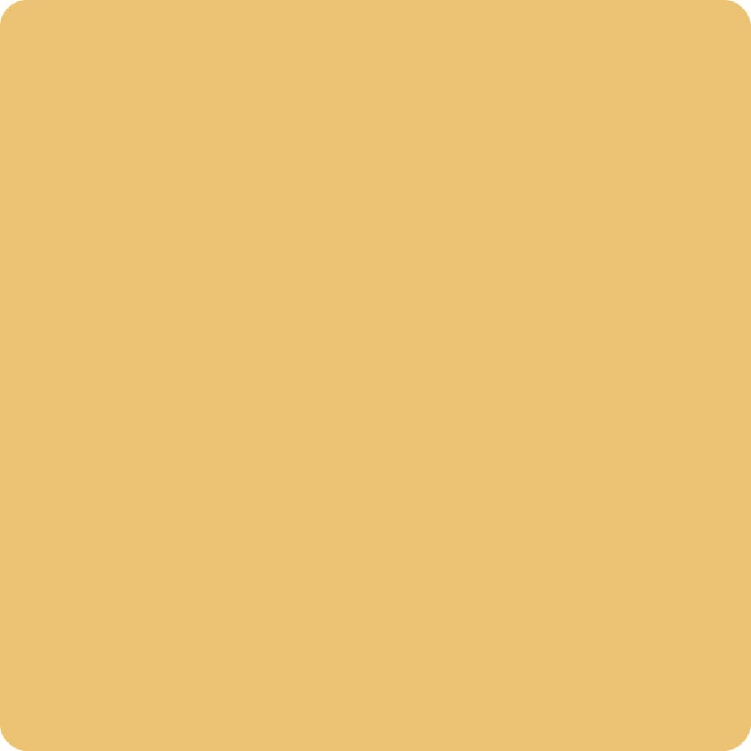 Wise Owl Paint in colour Goldenrod