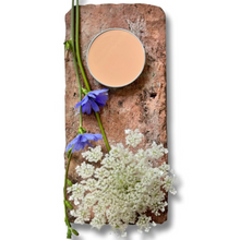 Load image into Gallery viewer, Wise Owl Paint on Brick with Flower in colour Pink Suede

