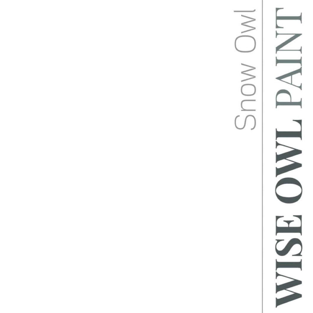 Wise Owl Paint in colour Snow Owl