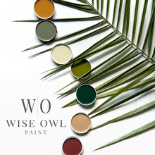 Load image into Gallery viewer, Wise Owl Paint Lids from Summer of Ibiza Collection on Fern
